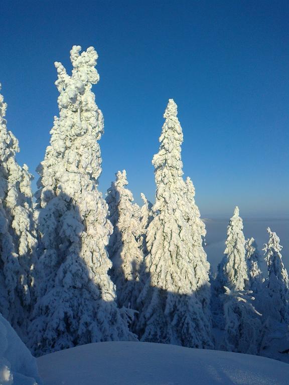 Koli Freetime Cottages Ahmovaara Habitación foto