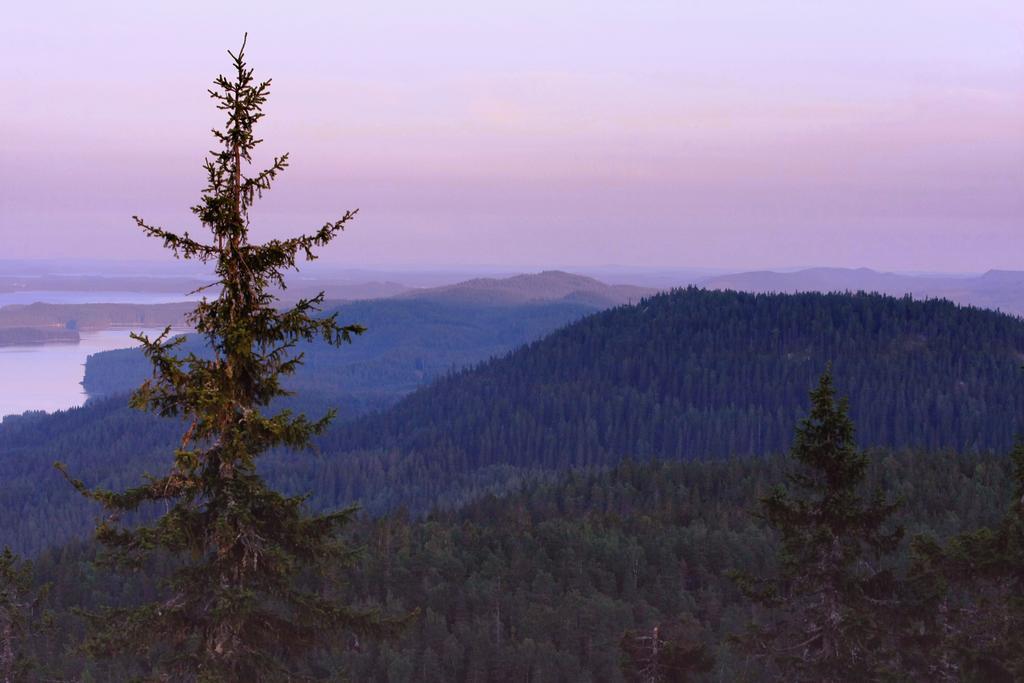 Koli Freetime Cottages Ahmovaara Habitación foto